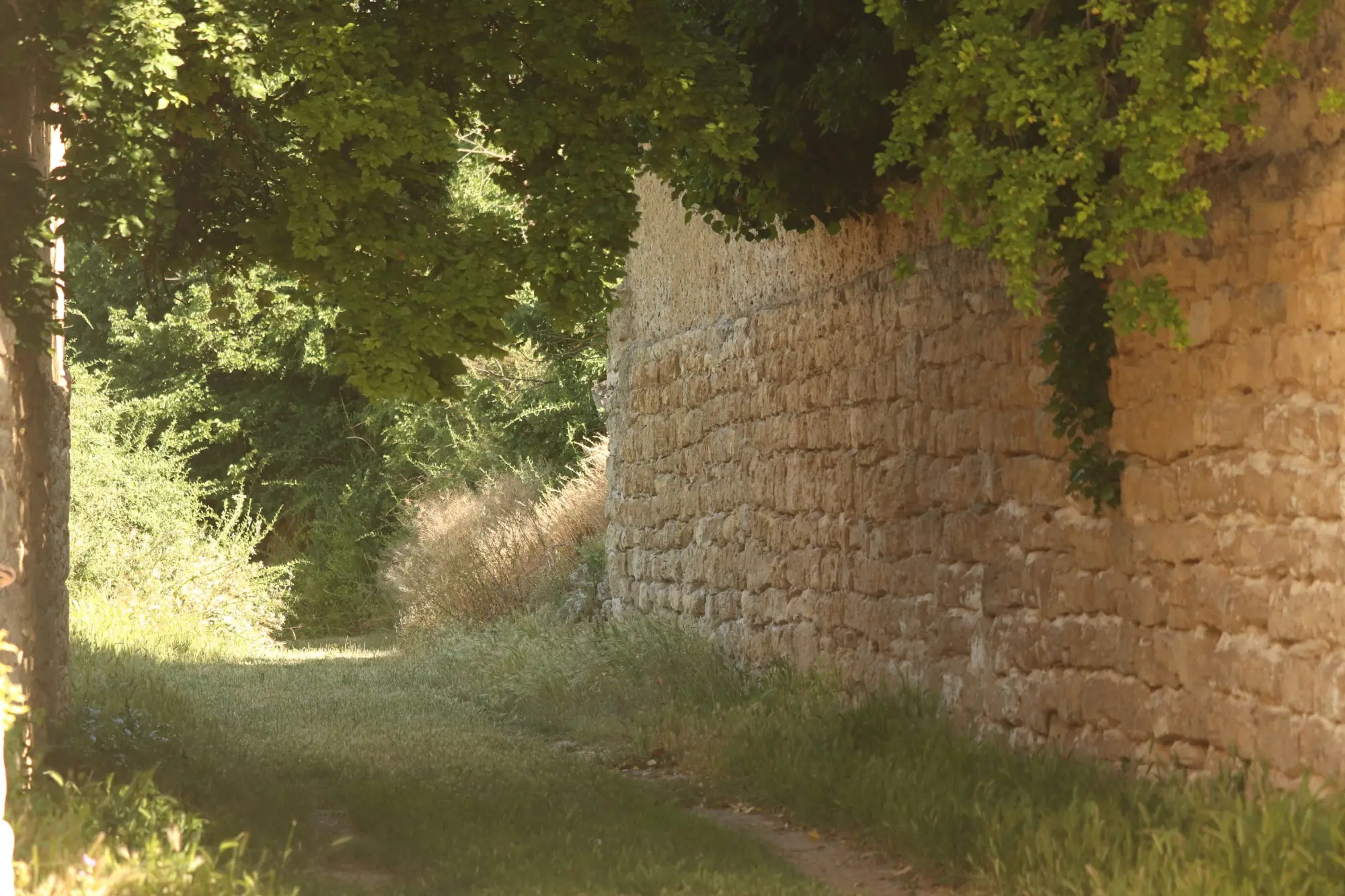 Hornillos de Cerrato